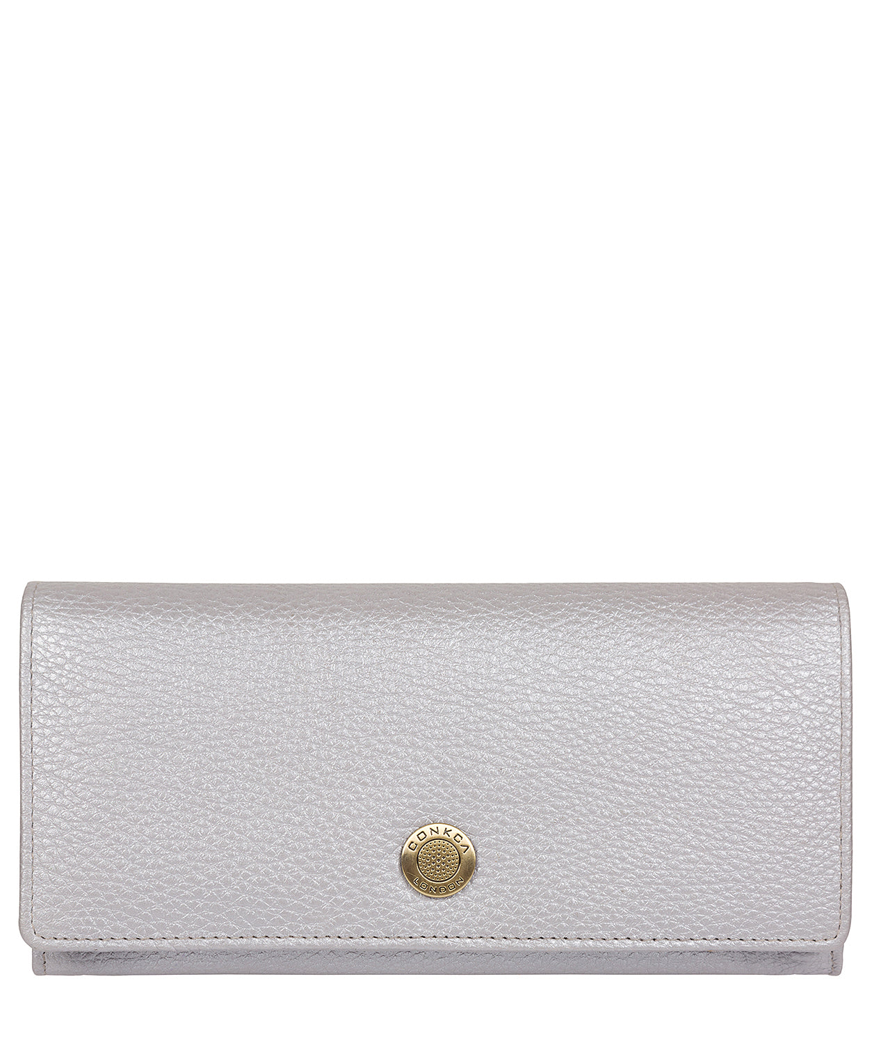 'Fey' Dollar Metallic Silver Leather Purse