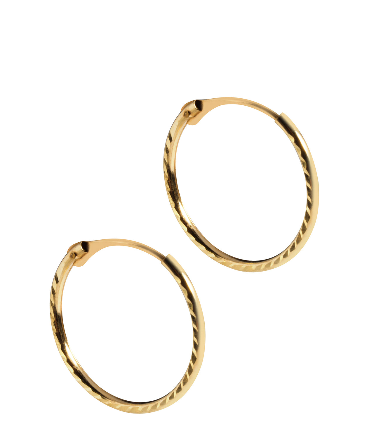 'Samara' 9ct Yellow Gold Hinged Hoop Earrings image 1