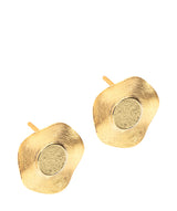 Pure Luxuries Earrings: Gift Packaged 'Angela' Brushed 18ct Yellow Gold Plated Sterling Silver Circular Earrings