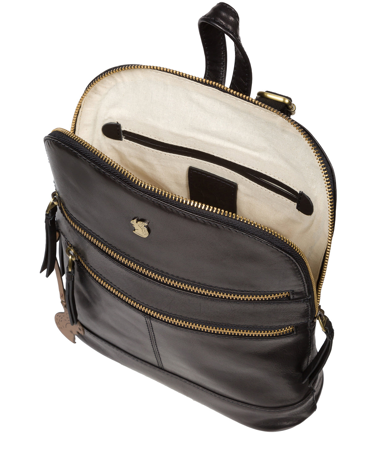 Adjustable shoulder straps and back panel