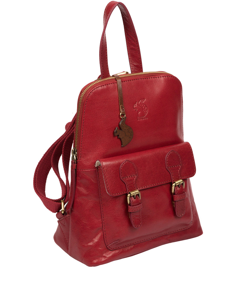 'Kendal' Chilli Pepper Leather Backpack image 5