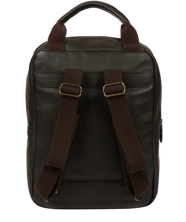 'Alps' Brown Leather Backpack image 3
