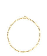 Gift Packaged 'Masika' 9ct Yellow Gold Hollow Curb Chain Bracelet