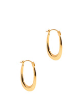 Gift Packaged 'Elena' 9ct Yelow Gold Polished Oval Creole Earrings