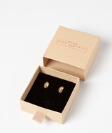 Gift Packaged 'Jorgina' 9ct Yellow Gold Dual Strand & Cubic Zirconia Stud Earrings