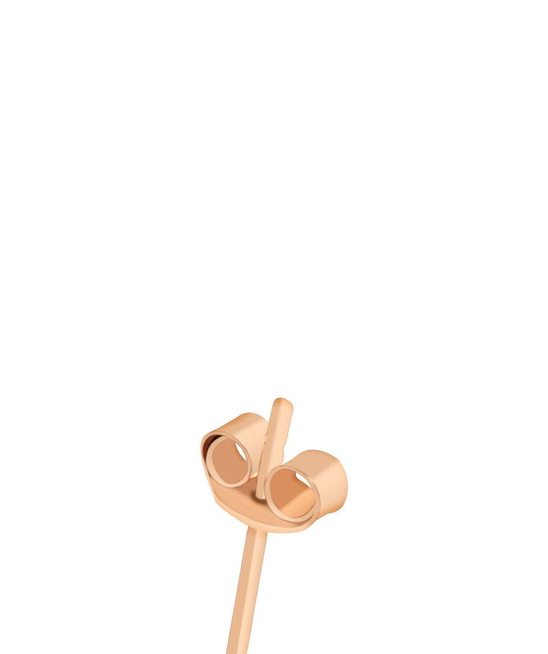 'Felipa' 9ct Rose Gold Polished Ball Stud Earrings image 4