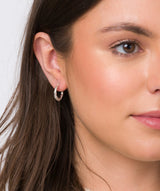 Gift Packaged 'Abelia' Sterling Silver Twisted Ear Hoops