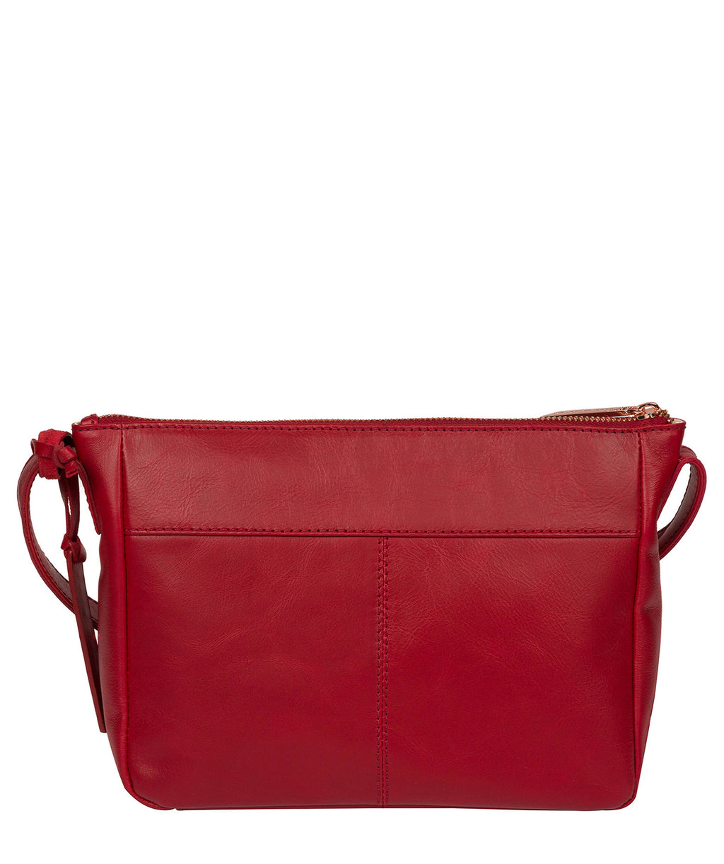 Red Leather Crossbody Bag 'Matisse' by Pure Luxuries – Pure Luxuries London
