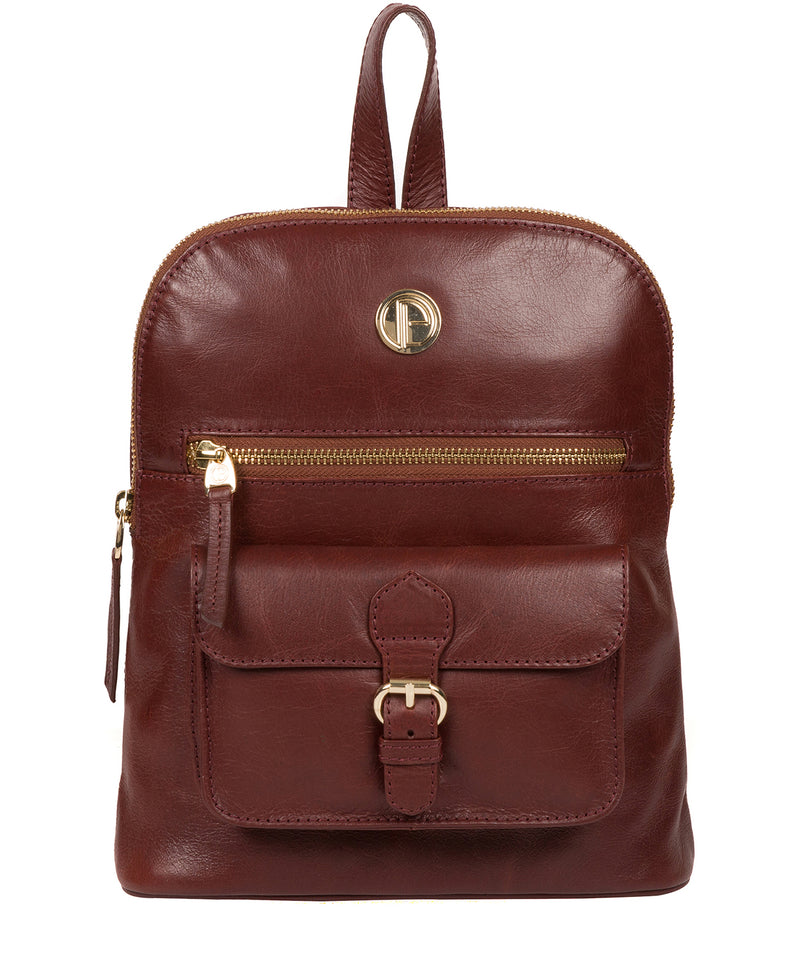 'Zinnia' Chestnut Leather Backpack image 1
