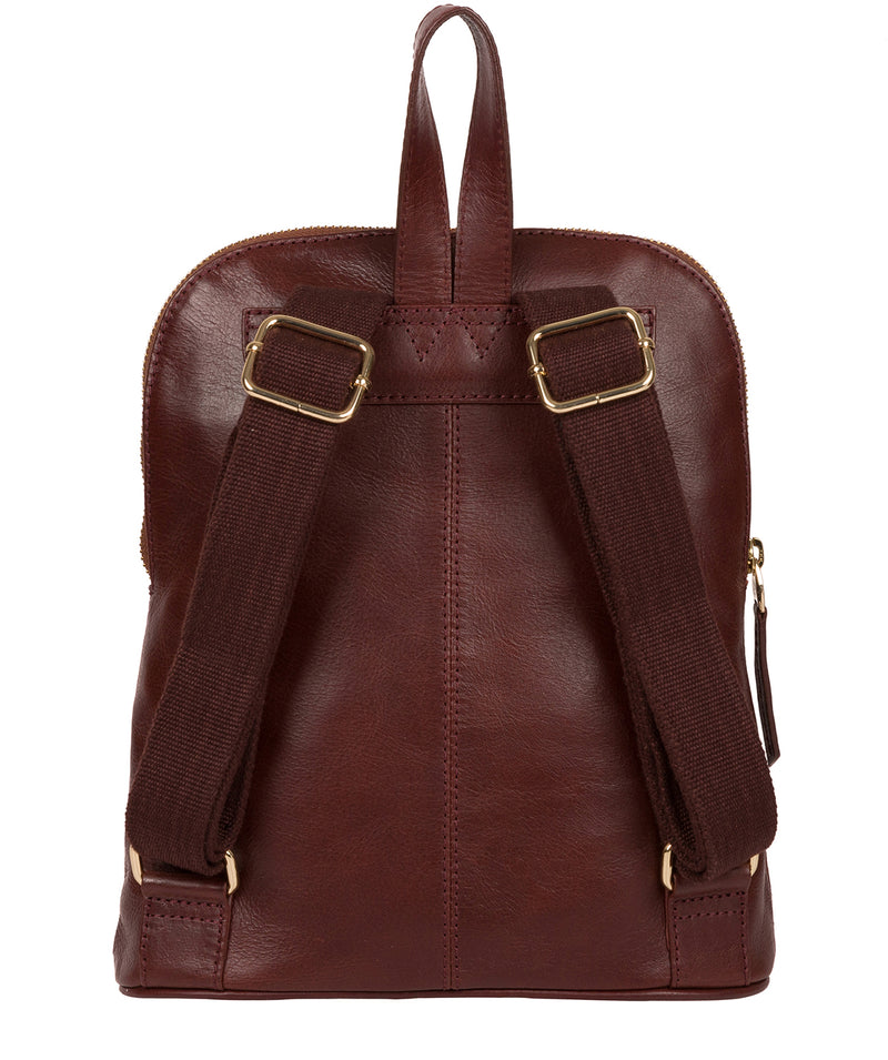 'Zinnia' Chestnut Leather Backpack image 3