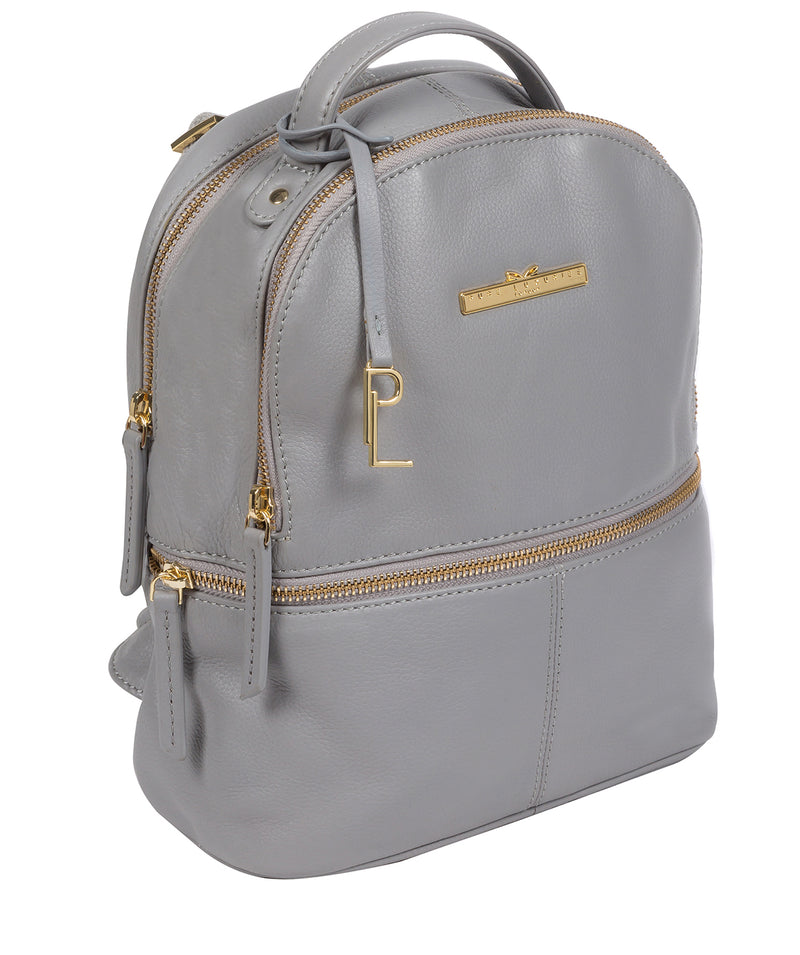 'Hayes' Grey Leather Backpack