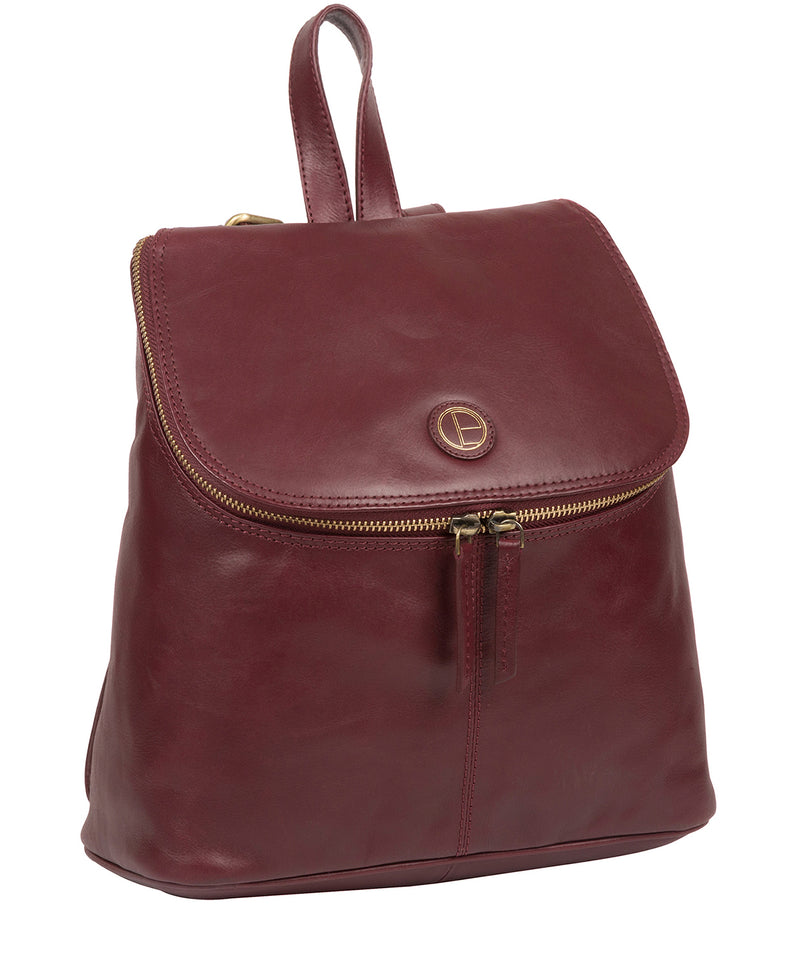 'Marbury' Burgundy Leather Backpack image 5