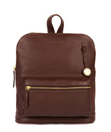 'Ingleby' Auburn & Gold-Coloured Detail Backpack