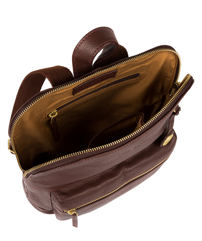 'Ingleby' Auburn & Gold-Coloured Detail Backpack