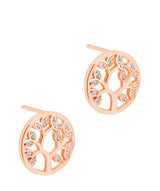 Gift Packaged 'Ana' 18ct Rose Gold Plated 925 Silver & Cubic Zirconia Branch Earrings