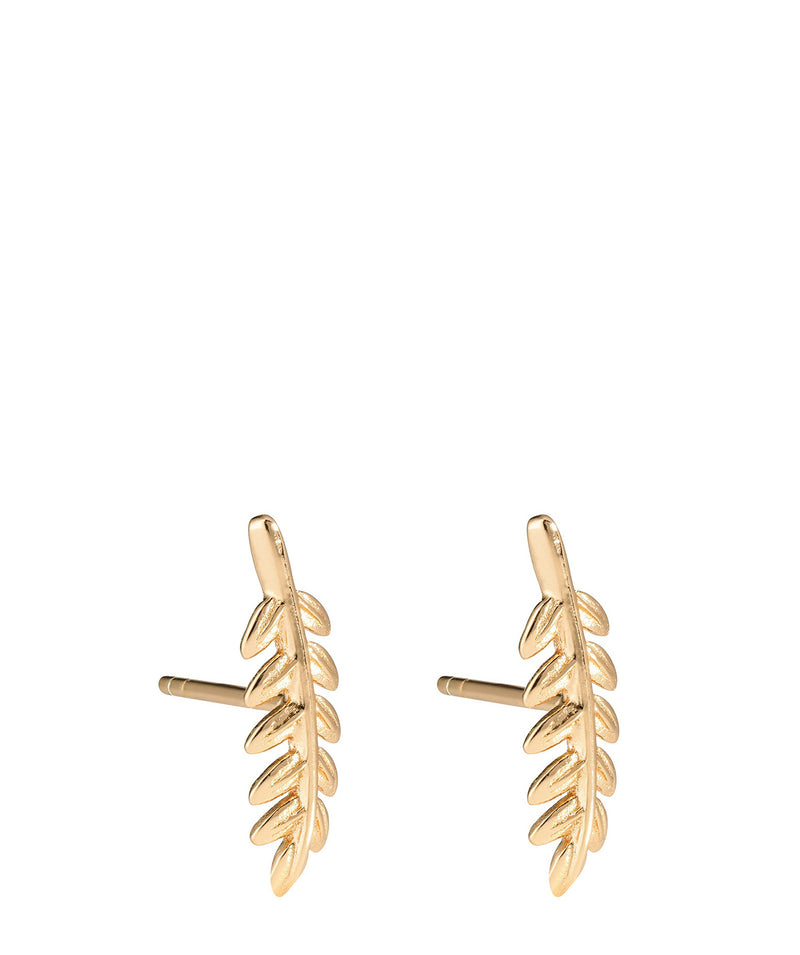 'Millau' Yellow Gold Plated Sterling Silver Leaf Stud Earrings image 1