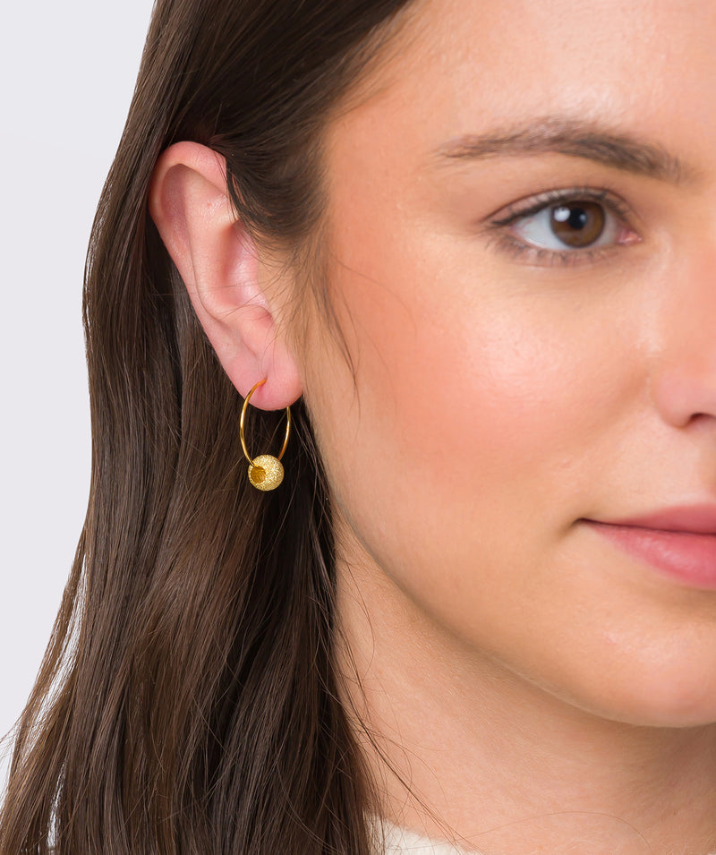 Gift Packaged 'Roisin' 18ct Yellow Gold Plated Sterling Silver Sparkle Hoop Earrings
