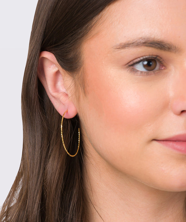 Gift Packaged 'Rhian' 18ct Yellow Gold Plated Sterling Silver Hoop Earrings
