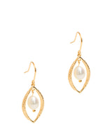 Gift Packaged 'Dorothy' 18ct Yellow Gold Plated Sterling Silver Teardrop Framed Freshwater Pearl Earrings