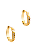 Gift Packaged 'Polly' 18ct Yellow Gold 925 Silver & Cubic Zirconia Mini Hoop Earrings