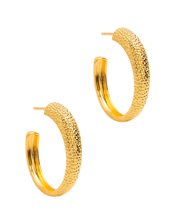 Gift Packaged 'Karena' 18ct Yellow Gold Plated Sterling Silver Textured Hoop Earrings