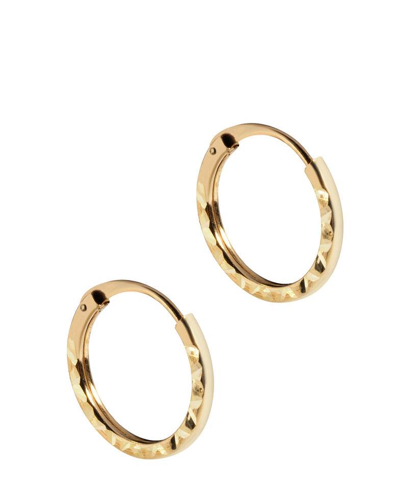 'Tiana' 9ct Yellow Gold Hinged Hoop Earrings image 1
